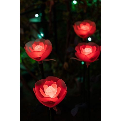 Haddad, Sheila 아티스트의 Illuminated red roses of the Ashikaga Flower park-Japan-at night in winter작품입니다.